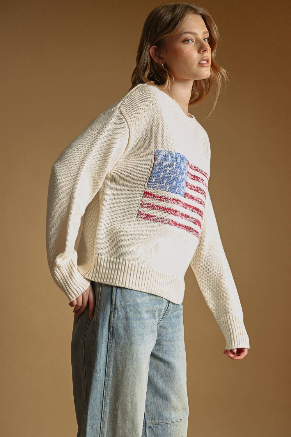 AMERICAN FLAG ROUND NECK SWEATER