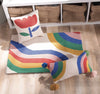 RAINBOW WITH TASSELS HOOK PILLOW