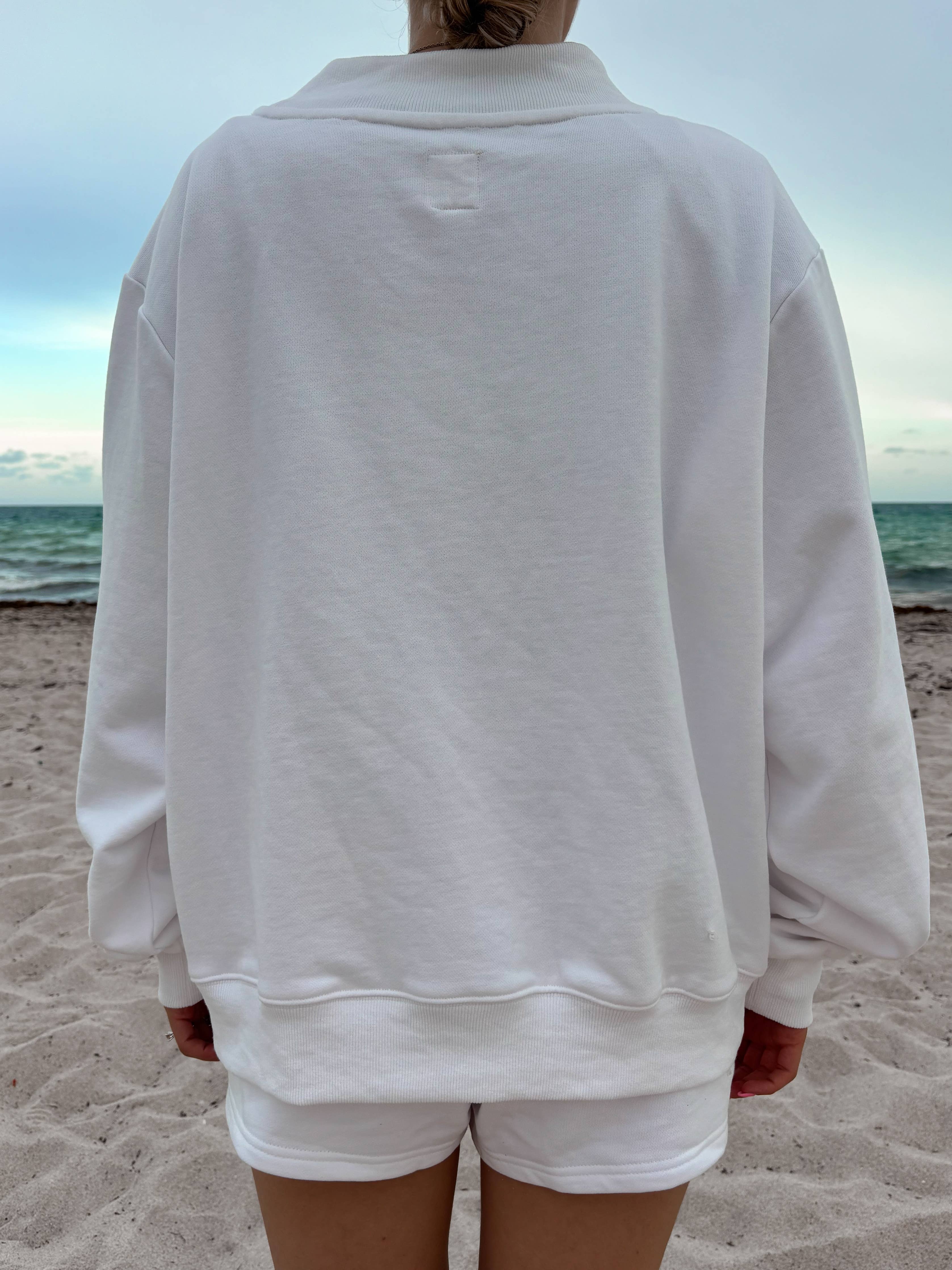 AMERICAN FLAG DOG MOCKNECK SWEATSHIRT